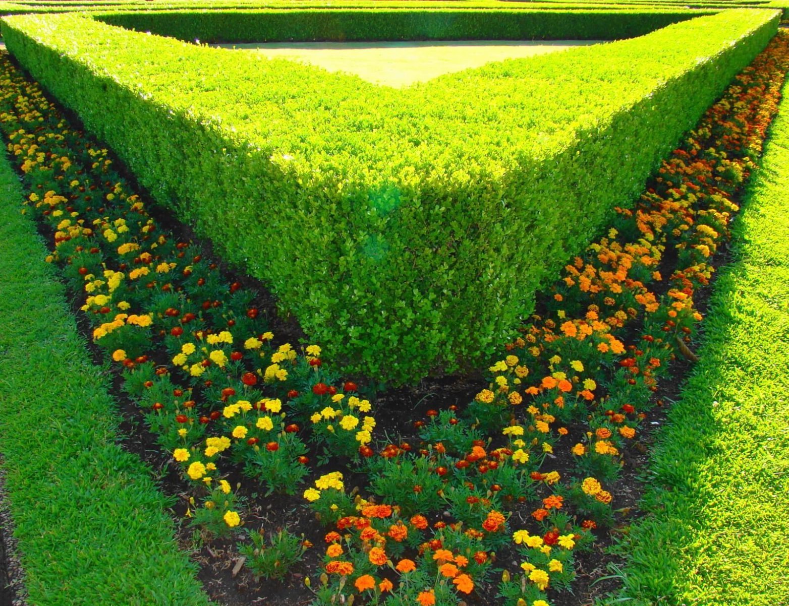 Principles of Effective Xeriscaping in Northern Nevada DRC