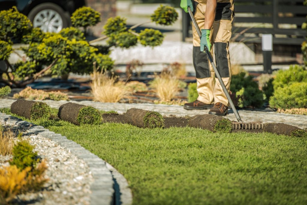 landscaping-contractor-installing-sod-for-new-lawn