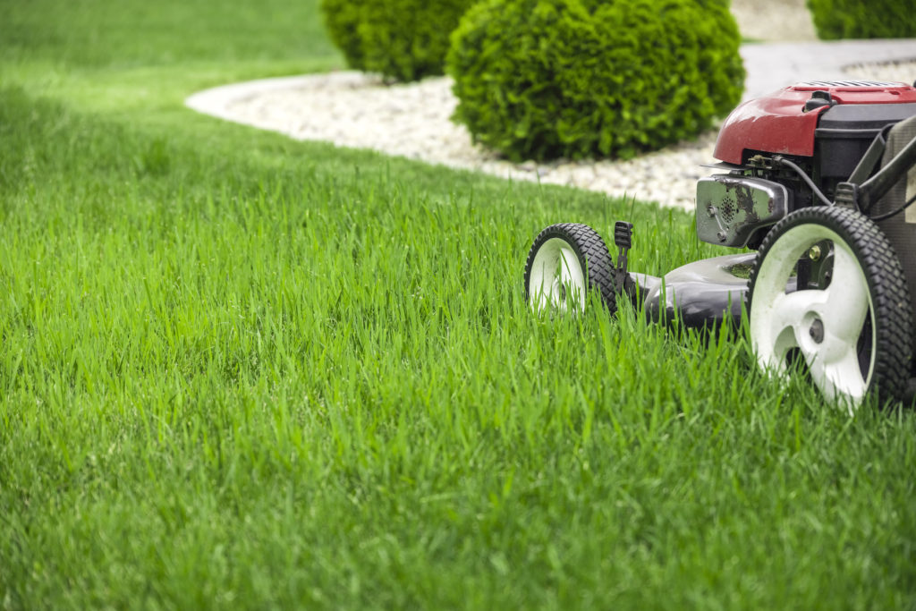 mowing-lawn-resized