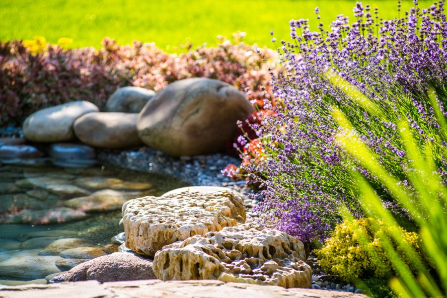 5 Tips for Transforming Your Outdoor Space with Spring Landscaping