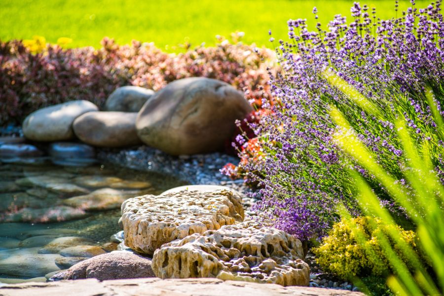 Spring Rbackyard Oses 5 Tips for Transforming Your Outdoor Space with Spring Landscaping ...