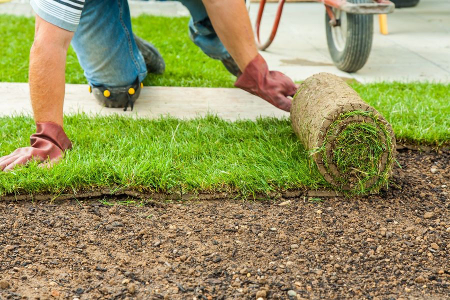 Transform Your Yard with DRC Landscaping's Sodding Services in Reno, Nevada blog image about laying Sod in Reno, NV