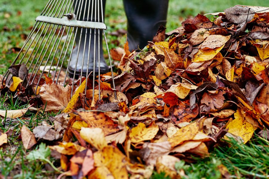 Fall Landscaping: Protecting Your Outdoor Oasis blog image
