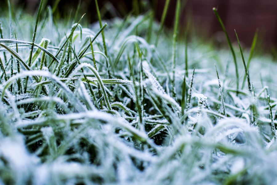 Winterizing Your Irrigation System: A Guide to Protecting Your Investment blog image